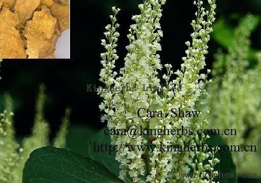 Kingherbs offer China Resveratrol 