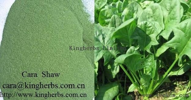 Supply Spinach Extract / Spinach Alkali