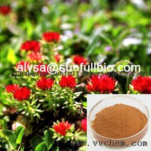 Rhodiola Rosea Extract 