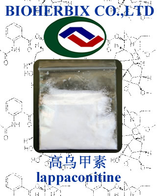 lappaconitine 
