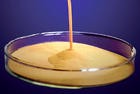 cinnamoyl chloride