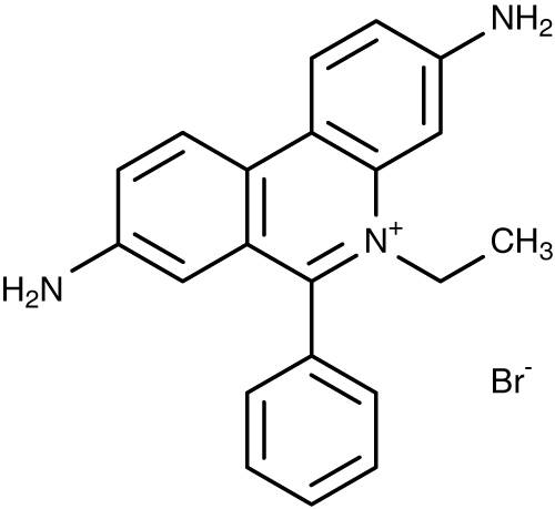 ethidium bromide