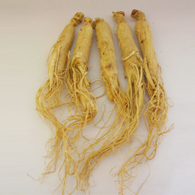 Panax Ginseng Extract/Ginseng Extract