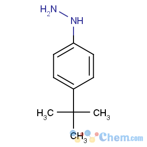 CAS No:36600-66-5;128231-55-0 4-tert-Butylphenylhydrazine monohydrochloride