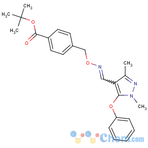 CAS No:111812-58-9;134098-61-6 tert-butyl<br />4-[[(E)-(1,<br />3-dimethyl-5-phenoxypyrazol-4-yl)methylideneamino]oxymethyl]benzoate