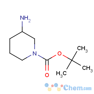 CAS No:144243-24-3;184637-48-7 tert-butyl 3-aminopiperidine-1-carboxylate