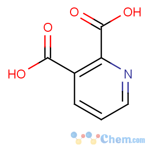 CAS No:339155-13-4;89-00-9 pyridine-2,3-dicarboxylic acid