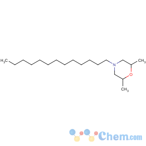 CAS No:24602-86-6;81412-43-3 2,6-dimethyl-4-tridecylmorpholine