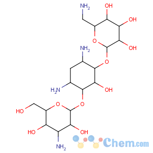 CAS No:8063-07-8;59-01-8 kanamycin