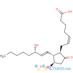 CAS No:363-24-6;154170-57-7 Prostaglandin E2