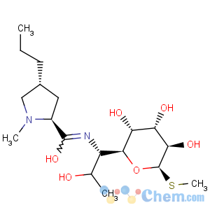 CAS No:17017-22-0;154-21-2 LINCOMYCIN