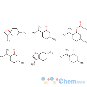 CAS No:8006-90-4;68917-18-0 Peppermint oil