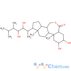 CAS No:78821-43-9;72962-43-7 epibrassinolide