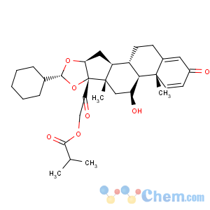 CAS No:126544-47-6;141845-82-1 Ciclesonide