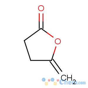 CAS No:10008-73-8 5-methylideneoxolan-2-one