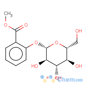 CAS No:10019-60-0 Benzoic acid, 2-(b-D-glucopyranosyloxy)-, methylester