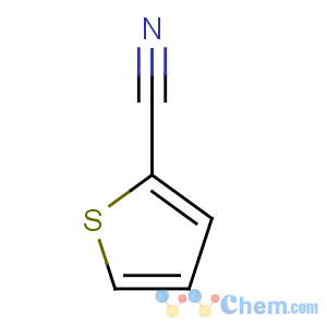 CAS No:1003-31-2 thiophene-2-carbonitrile