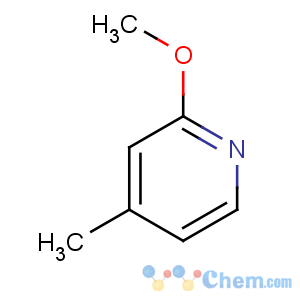CAS No:100848-70-2 2-methoxy-4-methylpyridine