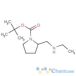 CAS No:1009075-40-4 tert-butyl (2R)-2-(ethylaminomethyl)pyrrolidine-1-carboxylate