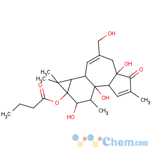 CAS No:100929-94-0 Butanoic acid,(1aR,1bS,4aR,7aS,7bS,8R,9R,9aS)-1,1a,1b,4,4a,5,7a,7b,8,9-decahydro-4a,7b,9-trihydroxy-3-(hydroxymethyl)-1,1,6,8-tetramethyl-5-oxo-9aH-cyclopropa[3,4]benz[1,2-e]azulen-9a-ylester