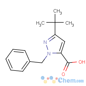 CAS No:100957-85-5 2-benzyl-5-tert-butylpyrazole-3-carboxylic acid