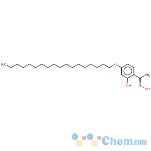 CAS No:101002-25-9 Ethanone, 1-[2-hydroxy-4-(octadecyloxy)phenyl]-, oxime