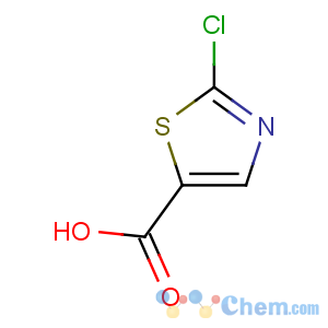 CAS No:101012-12-8 2-chloro-1,3-thiazole-5-carboxylic acid