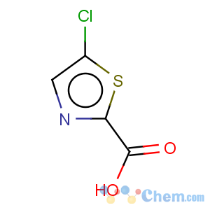 CAS No:101012-16-2 5-Chloro-2-Thiazolecarboxylic acid