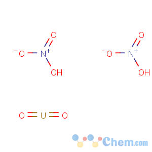 CAS No:10102-06-4 dioxouranium