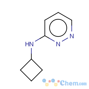 CAS No:1010422-13-5 Cyclobutyl-pyridazin-3-yl-amine