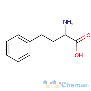 CAS No:1012-05-1 2-amino-4-phenylbutanoic acid
