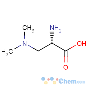 CAS No:10138-99-5 3-(Dimethylamino)-L-alanine