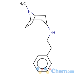 CAS No:101438-17-9 8-methyl-n-(2-phenylethyl)-8-azabicyclo[3.2.1]octan-3-amine