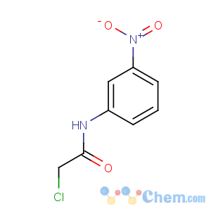 CAS No:10147-71-4 N-Chloroacetyl-3-nitroaniline, (a-Chloro-3-nitroacetanilide)