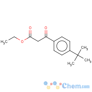 CAS No:101498-88-8 Benzenepropanoic acid,4-(1,1-dimethylethyl)-b-oxo-, ethyl ester