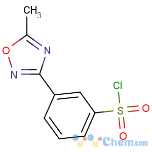 CAS No:10185-62-3 3-(5-methyl-1,2,4-oxadiazol-3-yl)benzenesulfonyl chloride