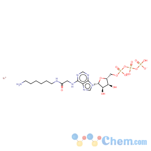 CAS No:102185-24-0 n6-([6-aminohexyl]carbamoyl-methyl)adenosine 5'-triphosphate lithium salt
