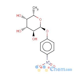 CAS No:10231-84-2 a-L-Galactopyranoside,4-nitrophenyl 6-deoxy-