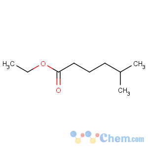 CAS No:10236-10-9 Hexanoic acid,5-methyl-, ethyl ester