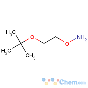 CAS No:1023742-13-3 Hydroxylamine,O-[2-(1,1-dimethylethoxy)ethyl]-