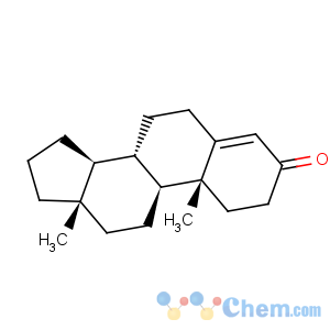CAS No:10247-98-0 Androst-4-en-3-one