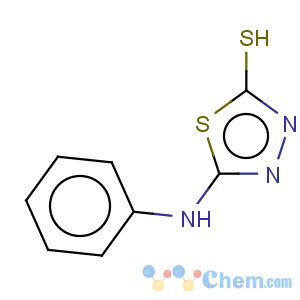 CAS No:10253-83-5 1,3,4-Thiadiazole-2(3H)-thione,5-(phenylamino)-