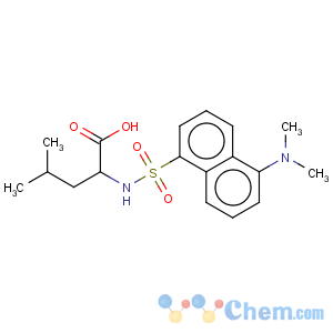 CAS No:102783-70-0 DANSYL-DL-LEUCINE CYCLOHEXYLAMMONIUM SALT
