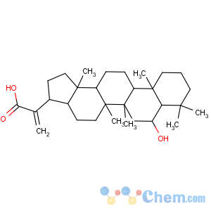 CAS No:102818-56-4 A'-Neogammacer-22(30)-en-29-oicacid, 6-hydroxy-, (6a)- (9CI)