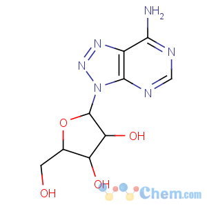 CAS No:10299-44-2 3H-1,2,3-Triazolo[4,5-d]pyrimidin-7-amine,3-b-D-ribofuranosyl-