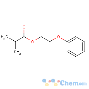 CAS No:103-60-6 2-phenoxyethyl 2-methylpropanoate