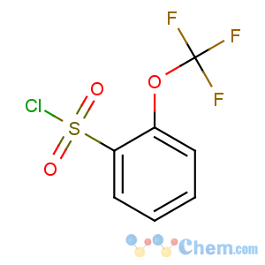 CAS No:103008-51-1 2-(trifluoromethoxy)benzenesulfonyl chloride