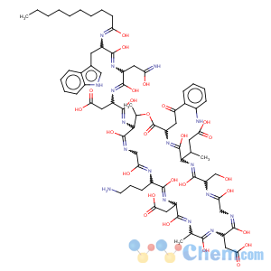 CAS No:103060-53-3 Daptomycin