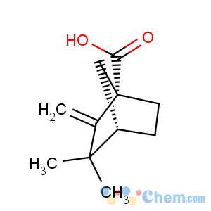 CAS No:10309-20-3 Bicyclo[2.2.1]heptane-1-carboxylicacid, 3,3-dimethyl-2-methylene-