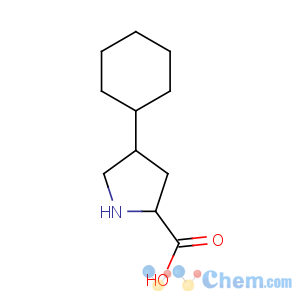 CAS No:103201-78-1 (2S,4S)-4-cyclohexylpyrrolidine-2-carboxylic acid